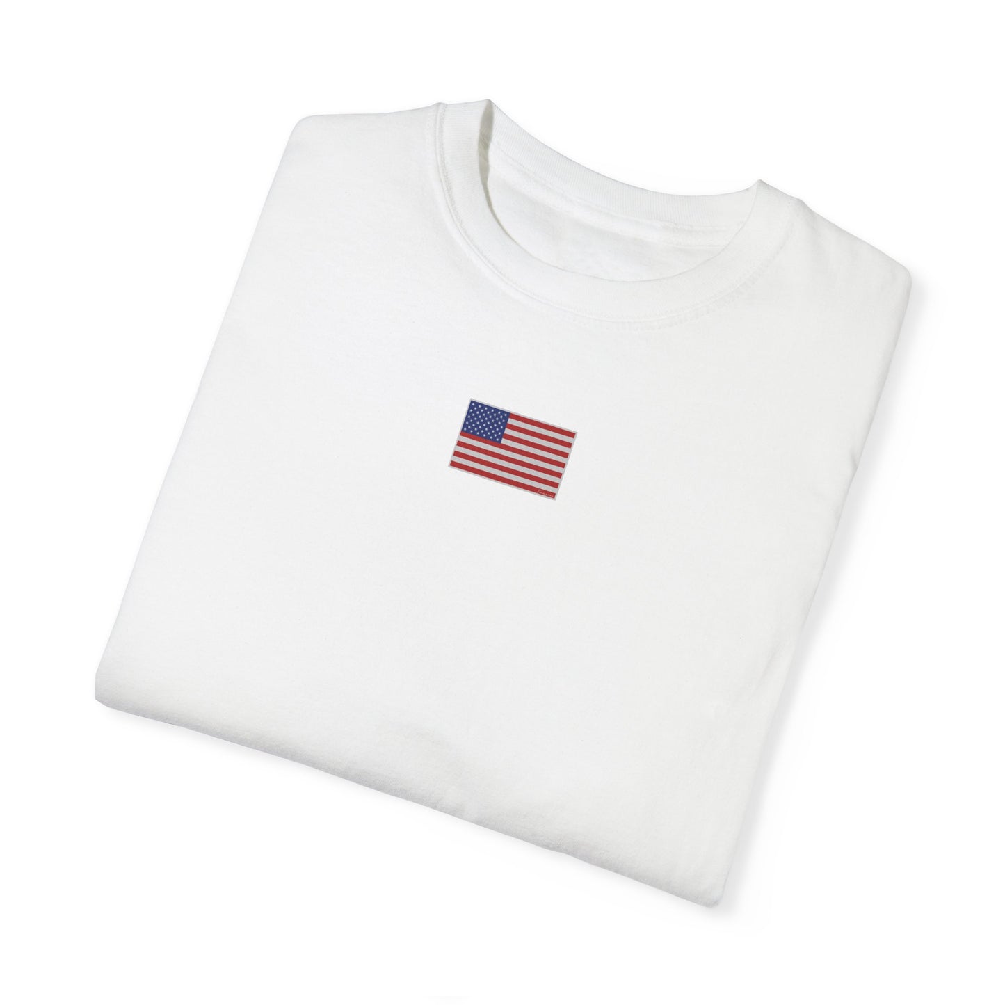 TREMpire American Flag & 45  T-Shirt